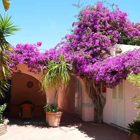 Aparthotel Fenicia