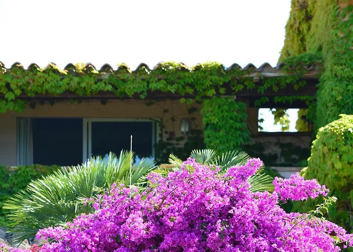 Fenicia Вилласимиус