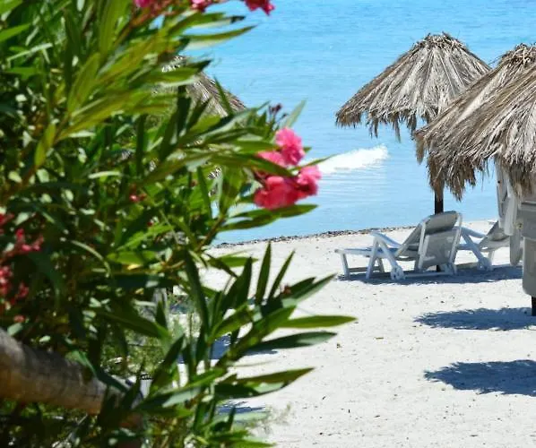 Апарт-отель Fenicia